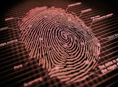 Fingerprints Don't Lie...!