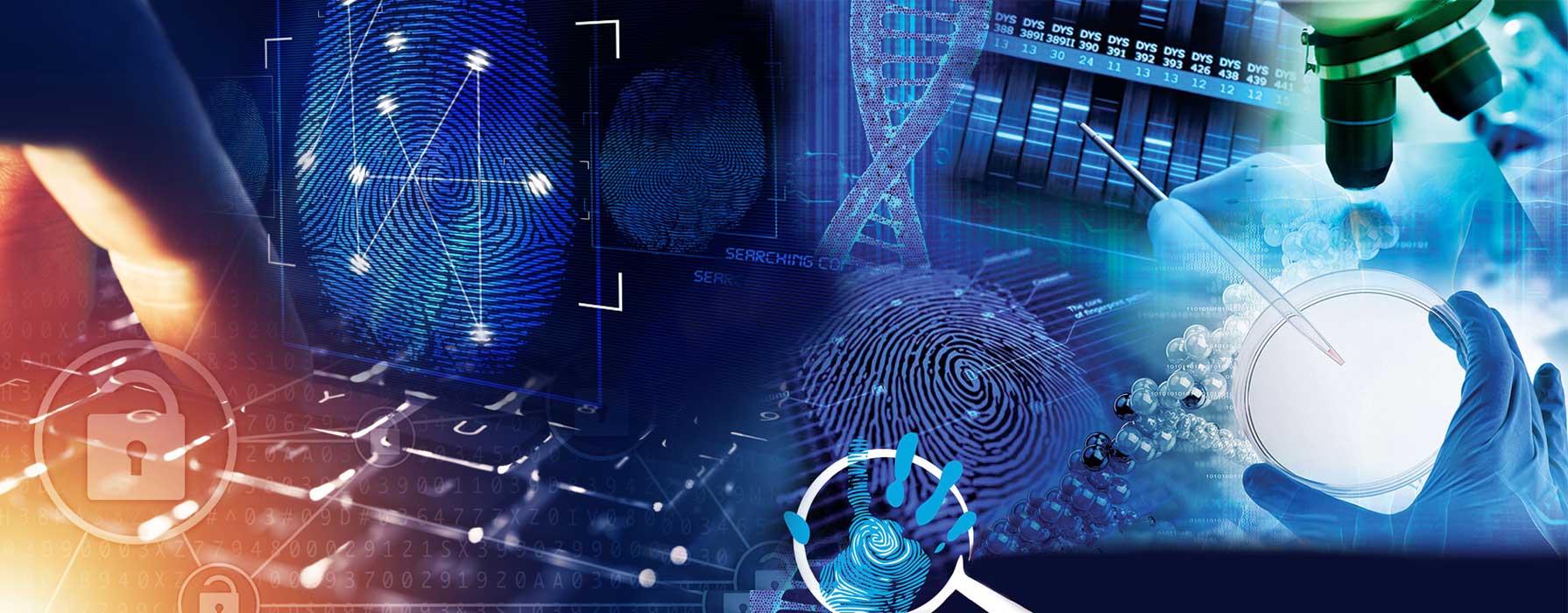 Fingerprint comparison and development of latent print